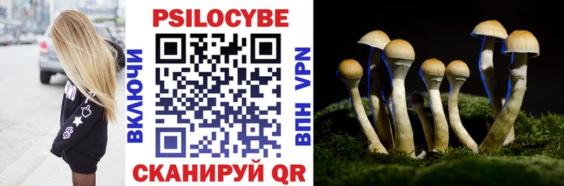 Галлюциногенные грибы Psilocybe  гидра ссылки  Белореченск 