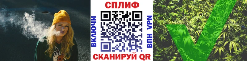 Канабис сатива  Белореченск 